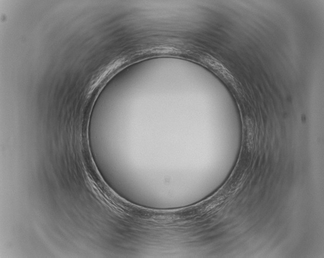 X0000059800482200510210901