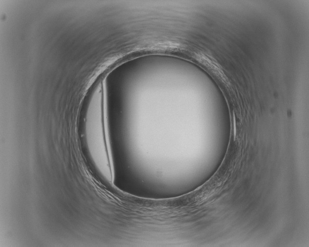 X0000059800483200510210901