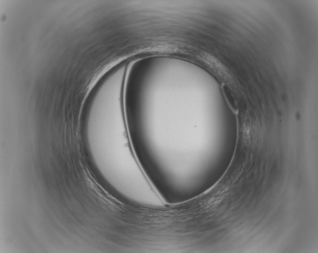 X0000059800484200510210900