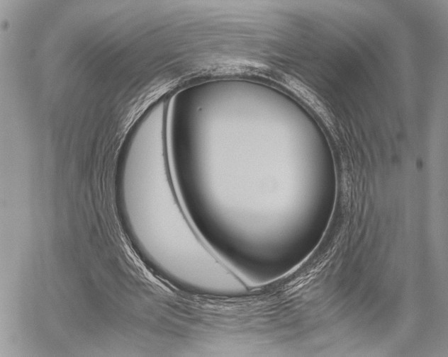 X0000059800485200510210900