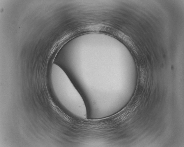 X0000059800486200510210900