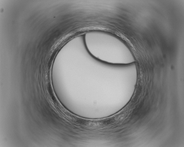 X0000059800487200510210900