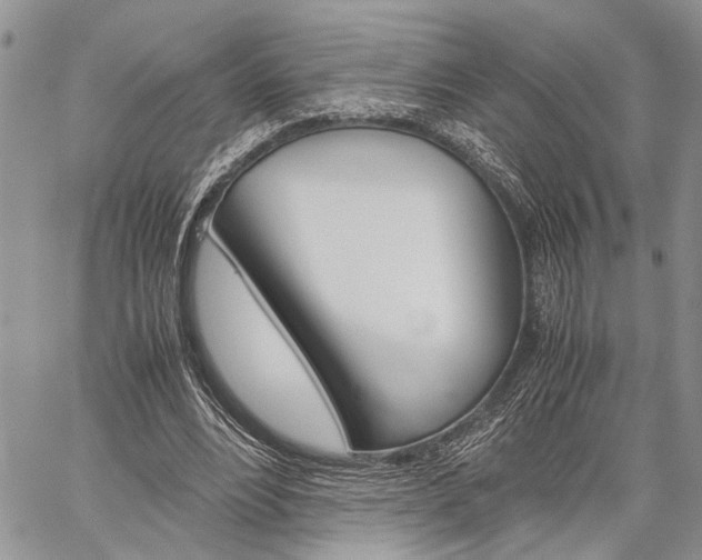 X0000059800488200510210900