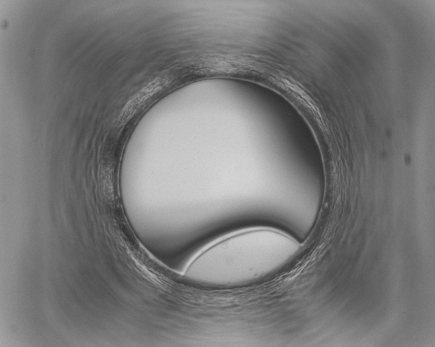 X0000059800489200510210900