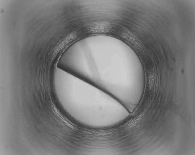 X0000059800490200510210900