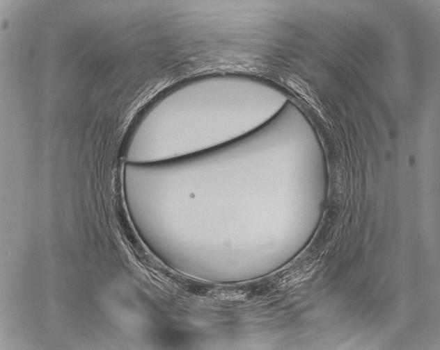 X0000059800491200510210900