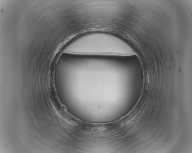 X0000059800492200510210900