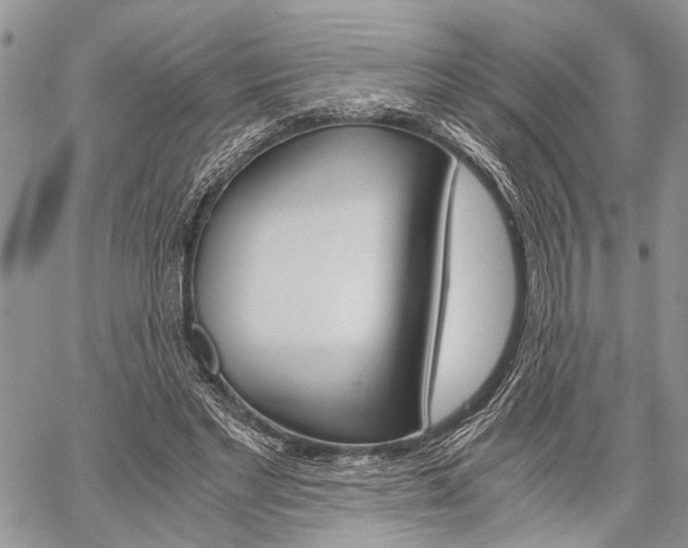 X0000059800493200510210900