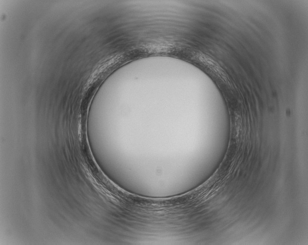 X0000059800494200510210900