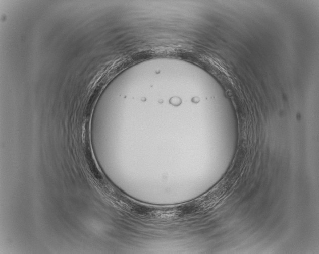 X0000059800495200510210900