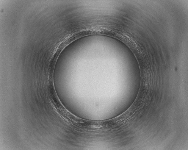 X0000059800496200510210900