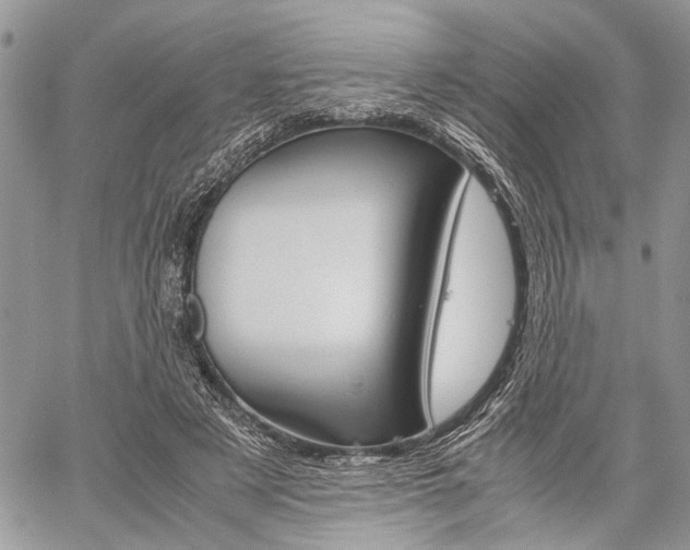 X0000059800497200510210900