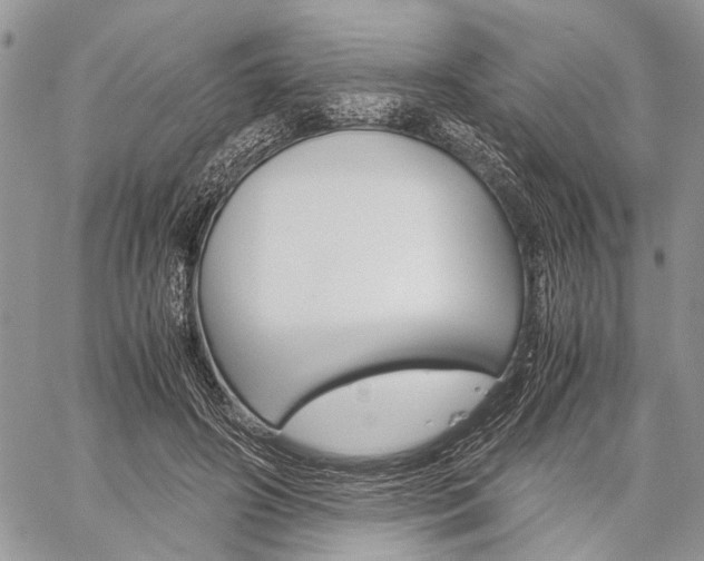 X0000059800498200510210900