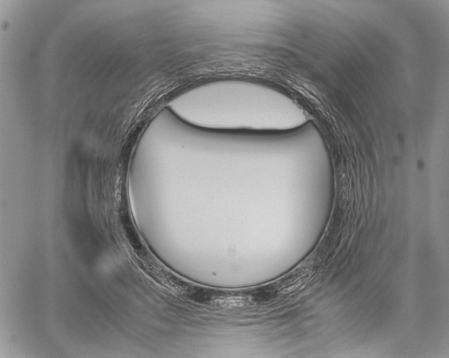 X0000059800499200510210900