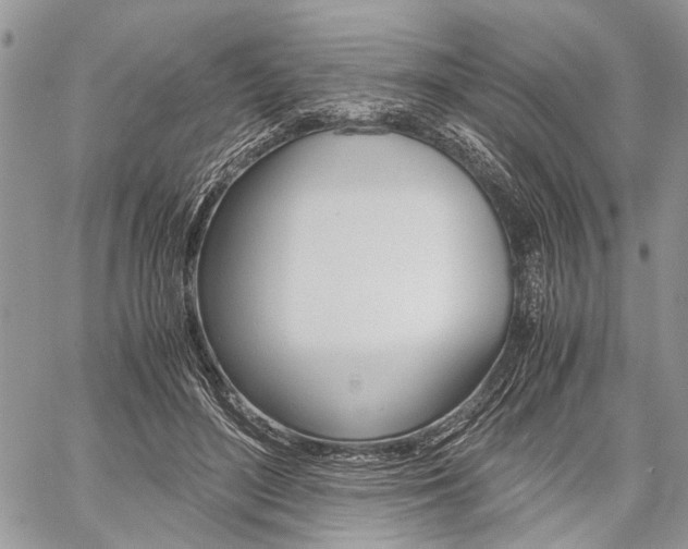 X0000059800500200510210900