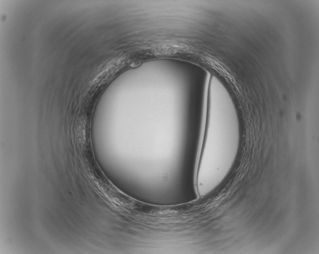 X0000059800501200510210900