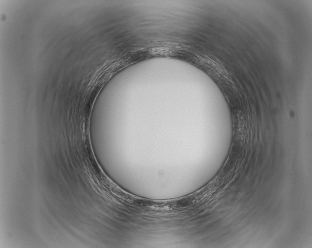 X0000059800502200510210900