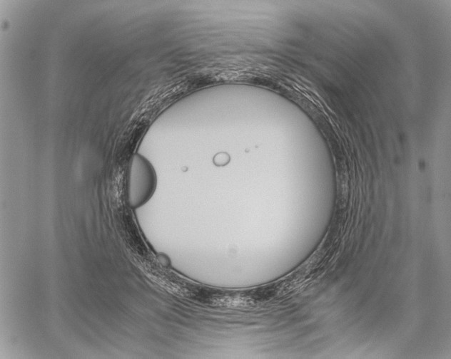 X0000059800503200510210900