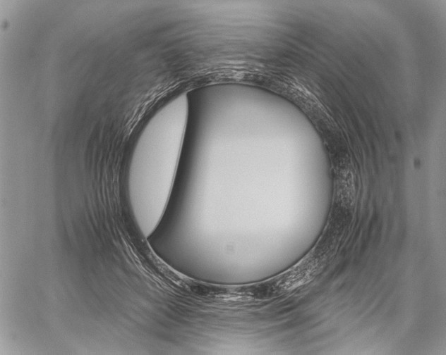 X0000059800504200510210900