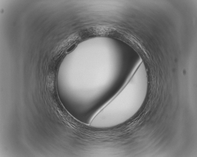 X0000059800505200510210900