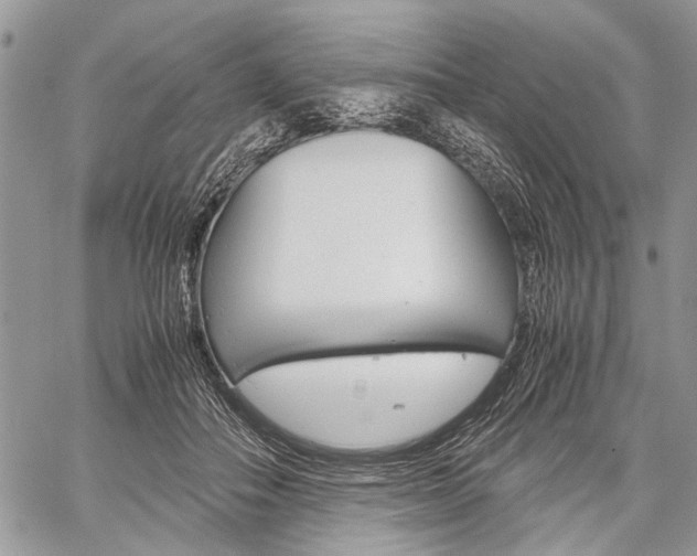 X0000059800506200510210900