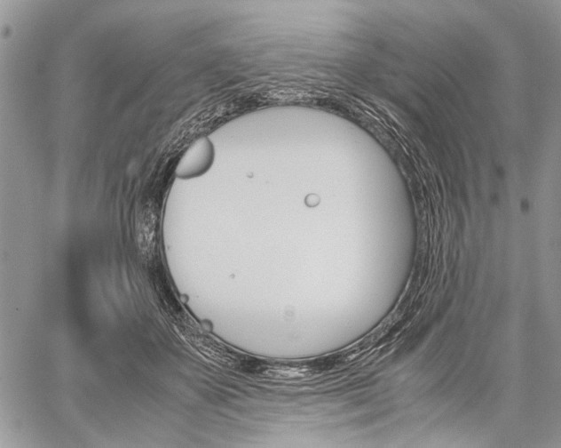 X0000059800507200510210900