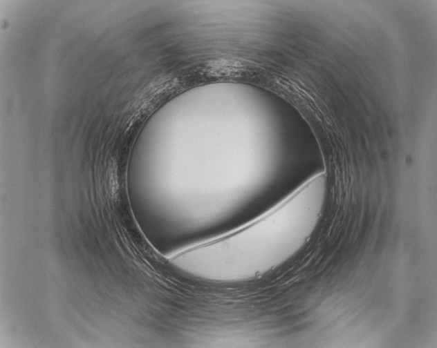 X0000059800508200510210900