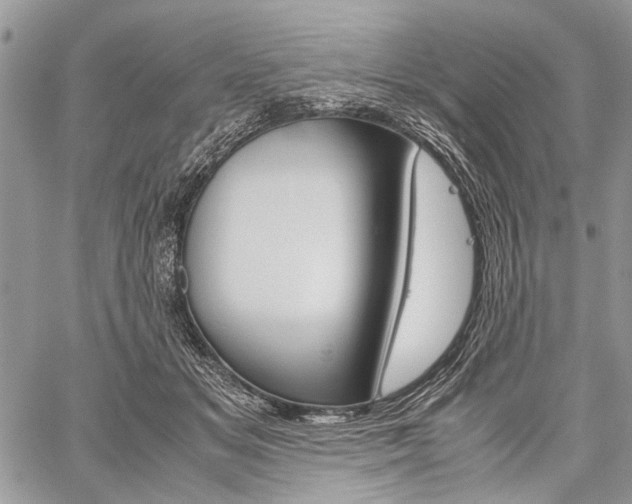 X0000059800509200510210900