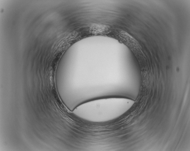 X0000059800510200510210900