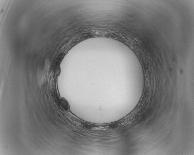 X0000059800511200510210900