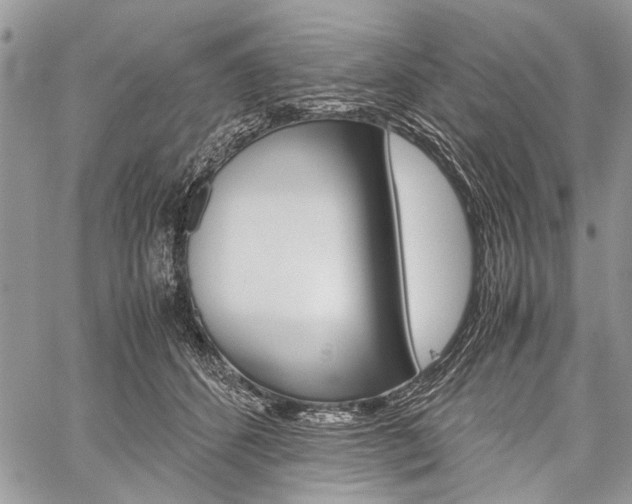 X0000059800512200510210900