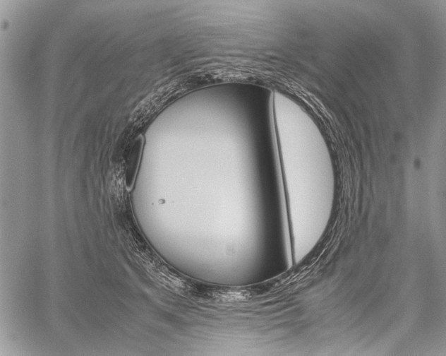 X0000059800513200510210900