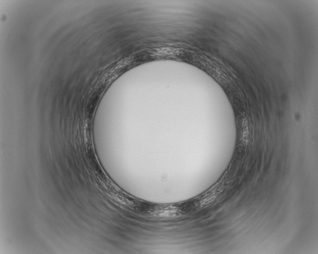 X0000059800514200510210900