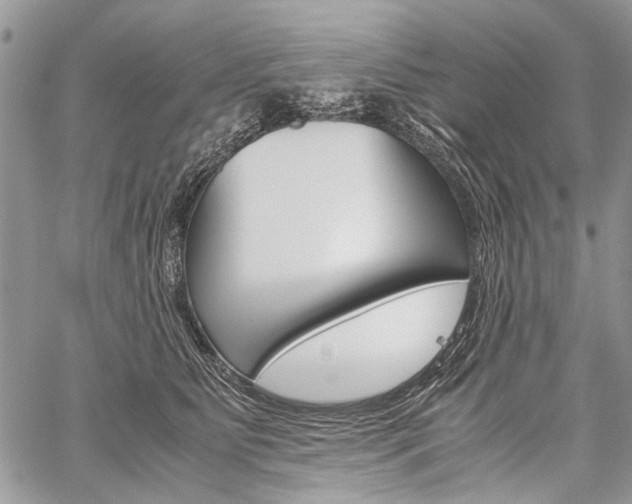 X0000059800515200510210900