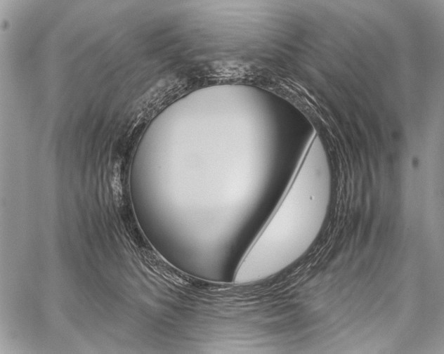 X0000059800516200510210900