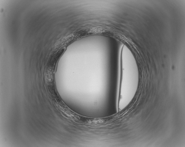 X0000059800517200510210900