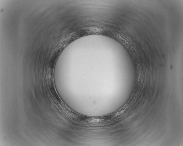 X0000059800518200510210900