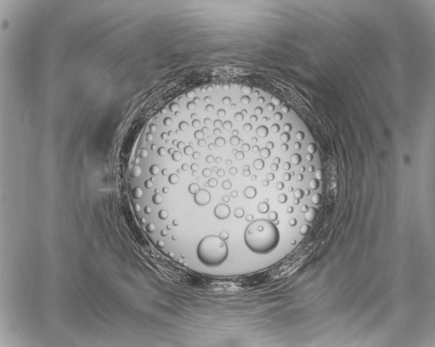 X0000059800519200510210900