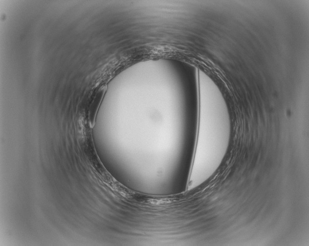 X0000059800520200510210900