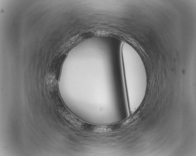 X0000059800521200510210900