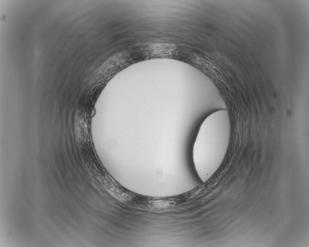 X0000059800522200510210900