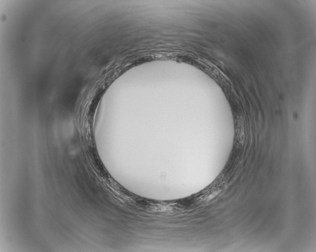 X0000059800523200510210900