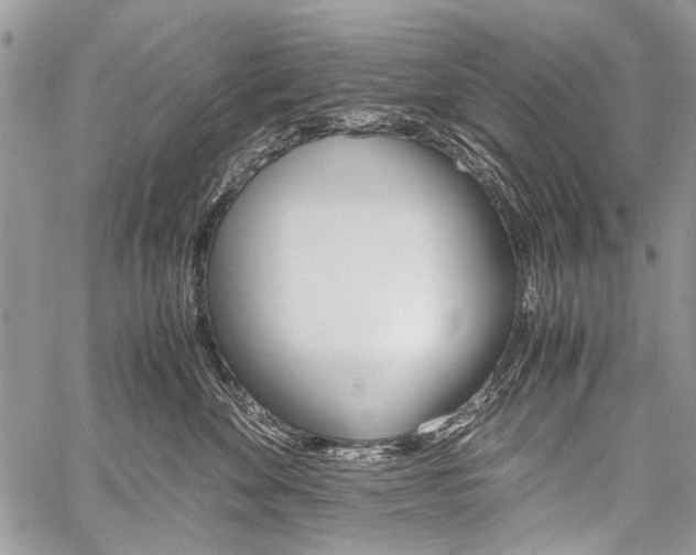 X0000059800524200510210900