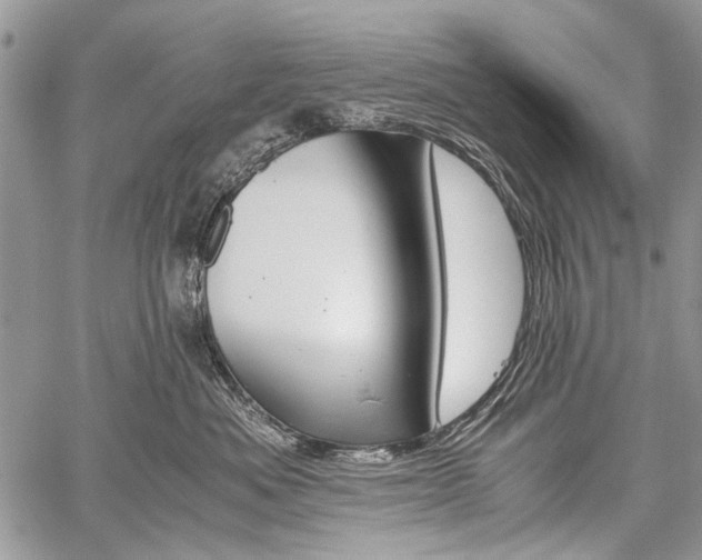 X0000059800525200510210900