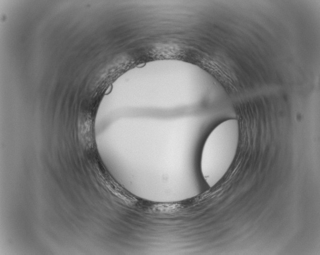 X0000059800526200510210900