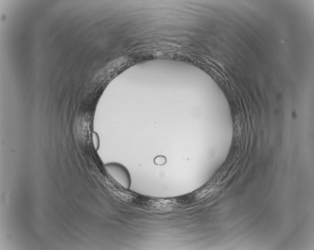 X0000059800527200510210900