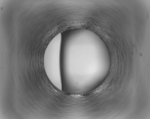 X0000059800528200510210900