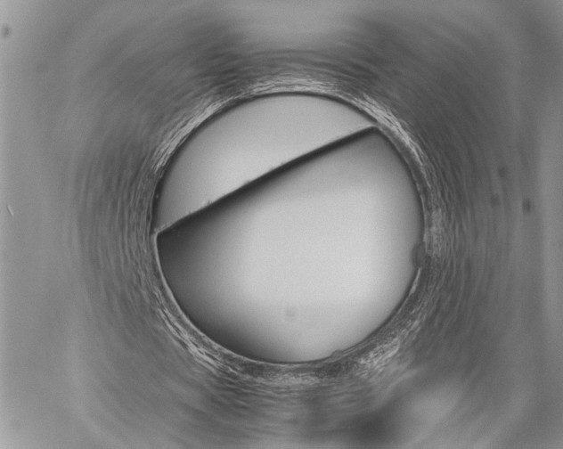 X0000059800529200510210859