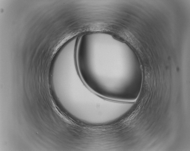 X0000059800530200510210859