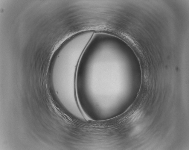 X0000059800532200510210859